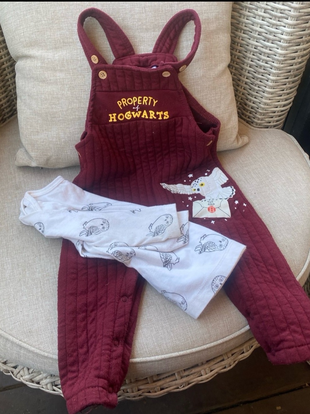 Harry Potter Hedwig Overalls and Sleeve Shirt